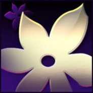 Introasian's profile picture. Social Video Chat and Blogging Network