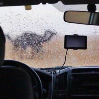 اَنا بحضرتگ حاضر ۈ في غيبتگ مفقود مسامع غراَمي تشتحن لگ ضواَميها ' ❤️
