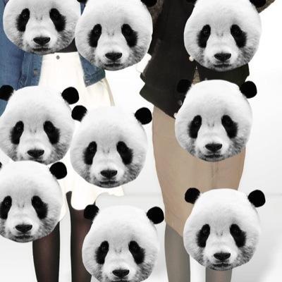 どうもどうも(￣(工)￣)