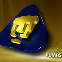 Noé Carrillo Molina - @noepuma22 - Twitter