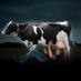 #WorldMilkDay (@vvorldmilkday) Twitter profile photo