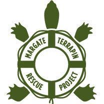 Helping your neighborhood turtle cross the road. Grassroots turtle rescue organization.  Research. Education. Conservation. Public Awareness.