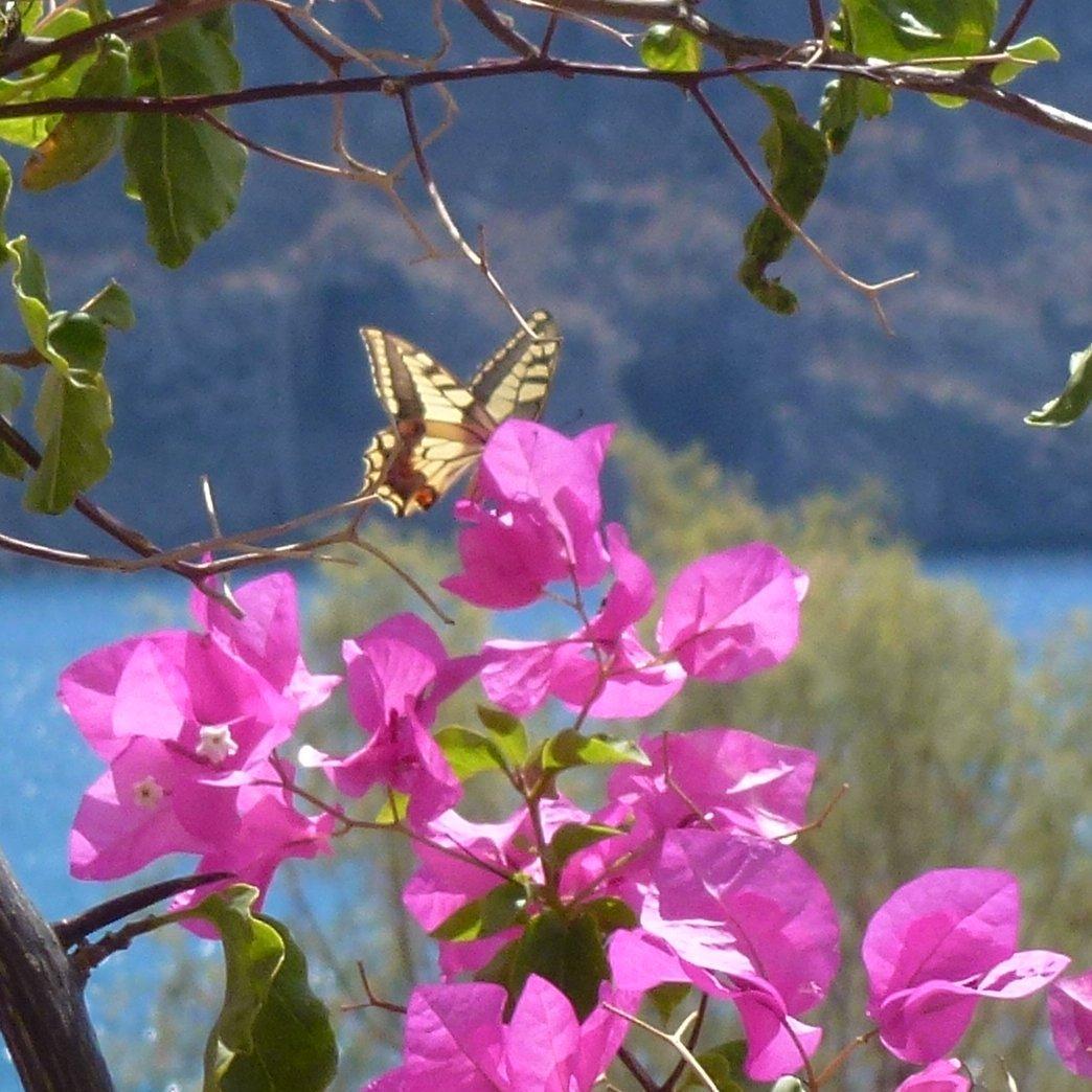 SocialXtra's profile picture. SOCIAL XTRA @SocialXtra