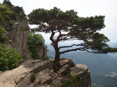 heavenber1's profile picture. 