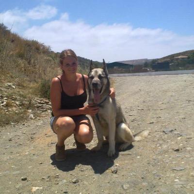Honden gedragstherapeut en puppycoach