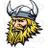 BaildonViking's profile image
