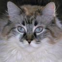 Erwin Alvarez - @Niwreal - Twitter