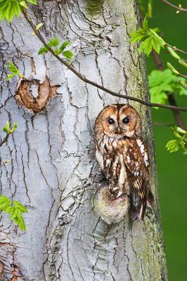 askme153's profile picture. Simply fair to say faithful God loving, Universal mind of a diverse Southern Lady  , and open to listen other folks lifestyles.