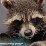 daoraandre's profile picture. 