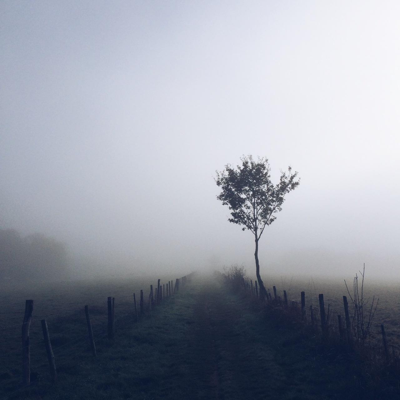 MANUELALTARI's profile picture. 