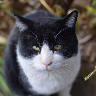 光フレイヤで降臨いけるかなーと試行錯誤したり実践しています。気軽にフォローしてやってください。木属性のハイパーor目指している方、中でも光フレイヤ固定している方はフレンドになって頂けると嬉しいです  ID:176041923　乖離性MAちょろっとやってます