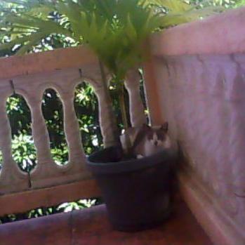 Imelin15's profile picture. 