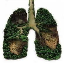 1hav3adream's profile picture. man on a green mission