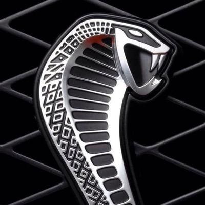 Dylan11Anderson's profile picture. I Follow Back maybe not right away but i will eventually