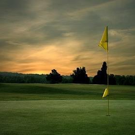 BS_MNTurf's profile picture. 