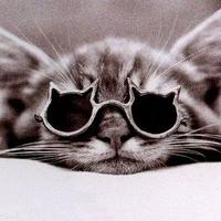Melanie Jacobs (@6eb9a371ffda46e) 's Twitter Profile