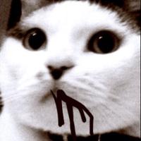 酢酸カーミン (@393_carmine) 's Twitter Profile Photo 酢酸カーミン (@393_carmine) 's Twitter Profile Photo