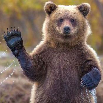 tweets_teddy's profile picture. 