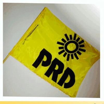 fabricación de banderas institucionales y personalizadas del partido Prd