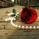 Kristy Riddle - @kristysaunder12 - Twitter