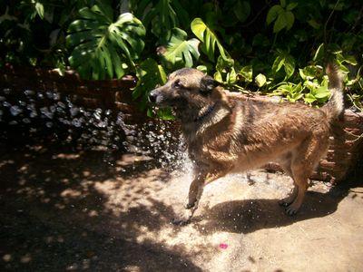 MaryLight1988's profile picture. 