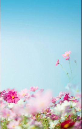 WhiteLidiamond's profile picture. سبحان الله وبحمده سبحان الله العظيم ..