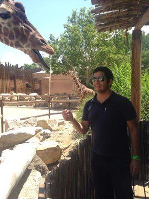 GCapitanViera's profile picture. Anyone can draw a blade, only the few can draw blood with speech.