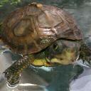 Michael Matti - @michangelom - Twitter