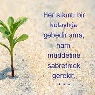Ortak payda insan olma ve insanligin ortak degerleri