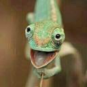 Daniel Hawthorn - @DBHawthorn - Twitter