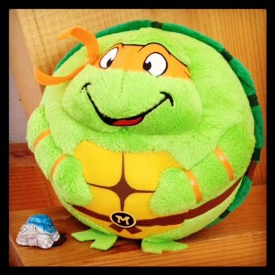 Une tortue souvent dans sa carapace.