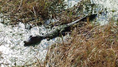 BigalCurry's profile picture. Another day above ground with family & friends is always a good one.  Live Long and Prosper 🖖