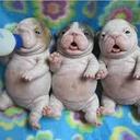 micaela coronado - @Mica484 - Twitter