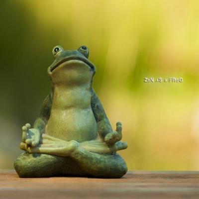 Ruggensteun's profile picture. Hekel aan heilige huisjes, graaicultuur en racisme en discriminatie.