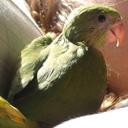 Paddy & David Sell - @pdsell96734 - Twitter