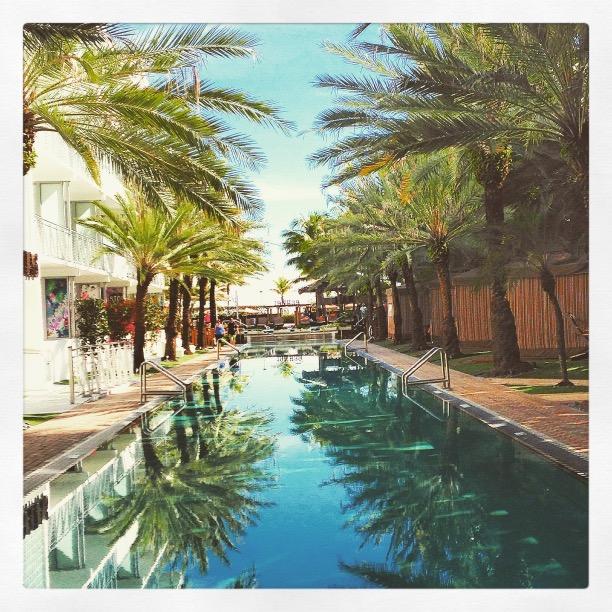 LostinTraveling's profile picture. 