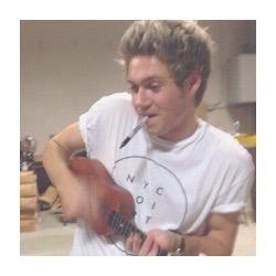 just a daily reminder of how perfect and lovely niall is