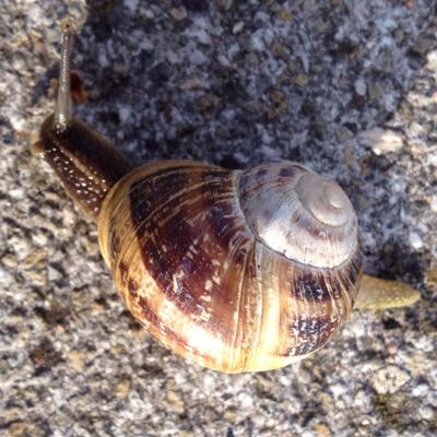 Soyunomas2's profile picture. 