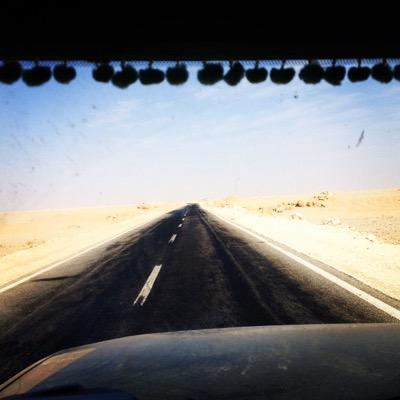 causeadventure's profile picture. mostly adventuring