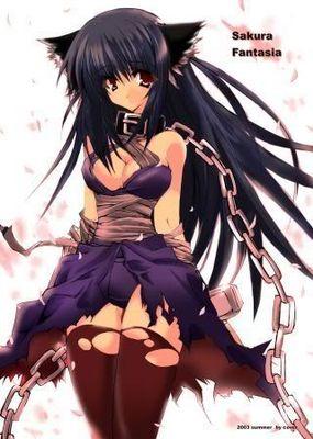 I am a female wolf slave. I was raised to please. /ask to enter DM if you don't I will block/ My mistress is @MeulinLejion