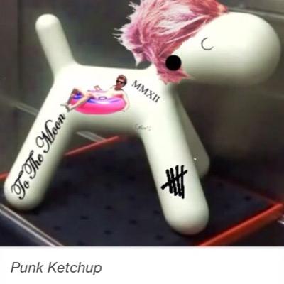 im too punk rock for u