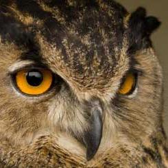 DocHeal_n's profile picture. 