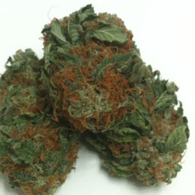 Our Goals:
We are an Alaskan Home Grown Family operated company that is striving to bring together all the micro-growers ( Mom and Pop operations ) into one cir