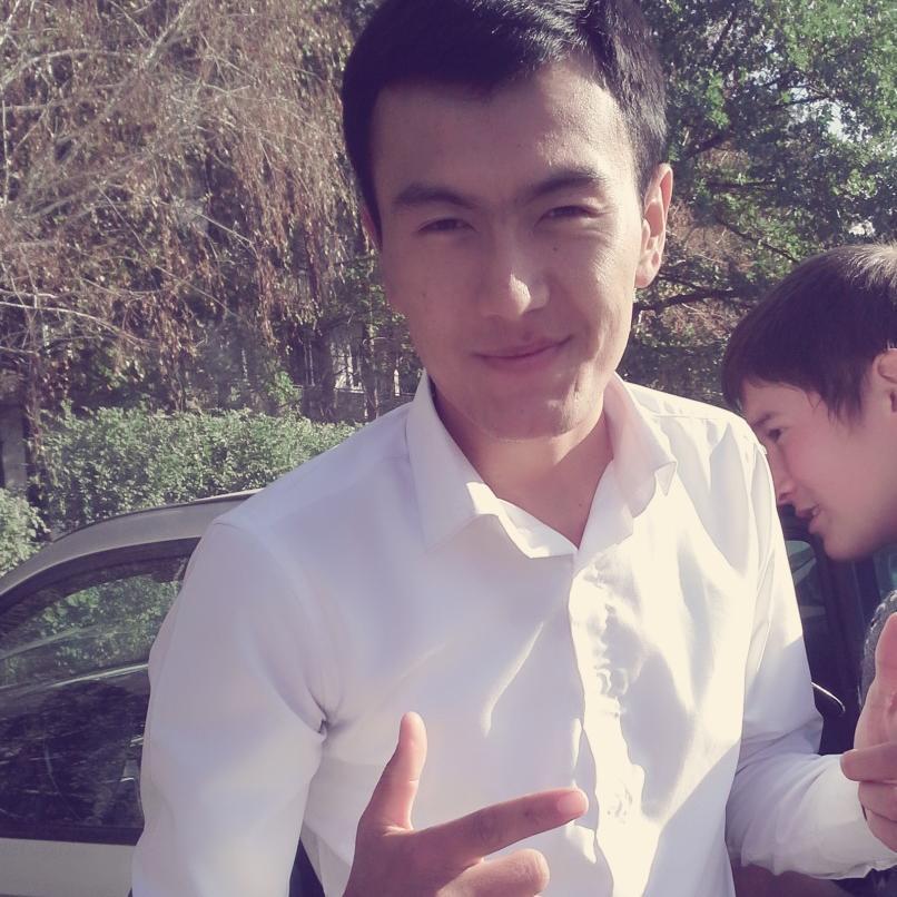 Kazakh elim