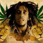 bob_mrly_ Profile Picture