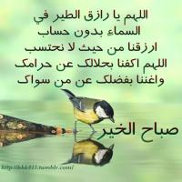 أحمد البلوي (@abosuliman2014) 's Twitter Profile