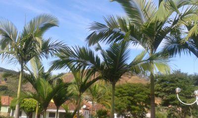 hey pessoinhas