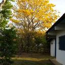 Yolanda Real - @yogureso - Twitter