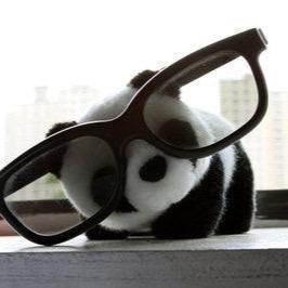 theindianpanda1's profile picture. 