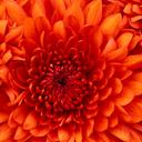 geri ryan - @ableteacher - Twitter